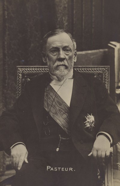 Louis Pasteur (1822-1895), Fransız kimyager ve mikrobiyolog by French Photographer
