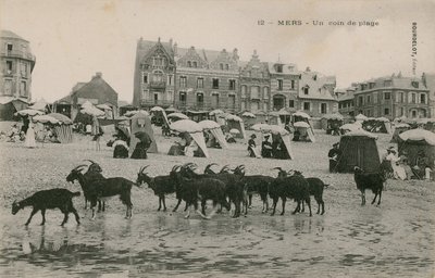Mers - plajın bir parçası. 1913 yılında gönderilen kartpostal. by French Photographer