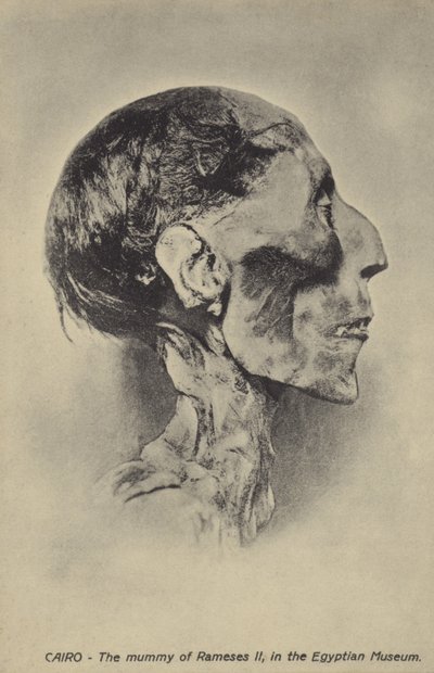 Ramses II