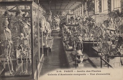 Paris, Jardin Des Plantes by French Photographer