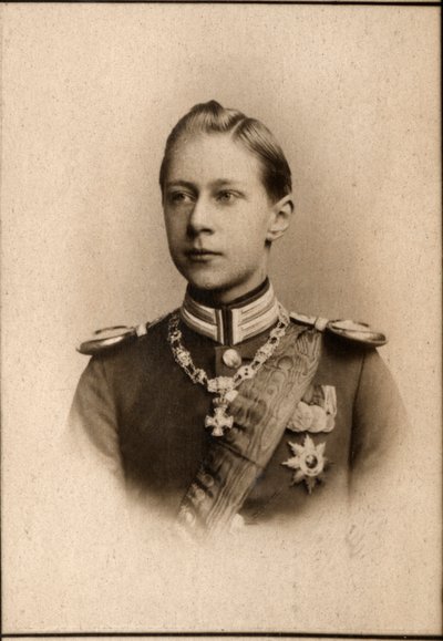 Prens William