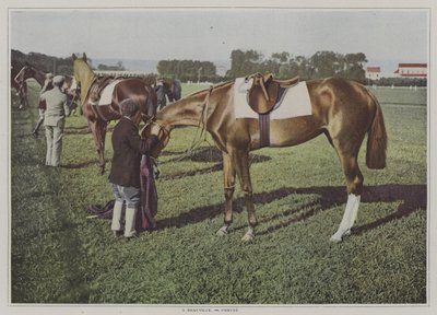 Fransa, Deauville