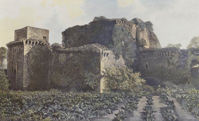 Tiffauges, Chateau Harabeleri, Avludan Görünüm by French Photographer