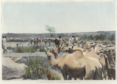 Çölde kaynağında develeri sulamak by French Photographer