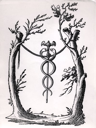 Caduceus