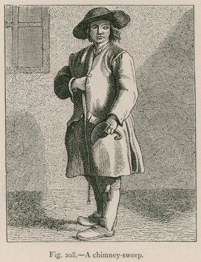 Baca Süpürgesi by French School