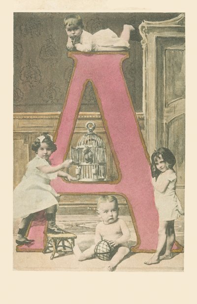 A: Dört küçük çocuk, bir kafes ve bir kakato by French School