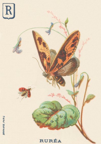 C: Rurea by French School