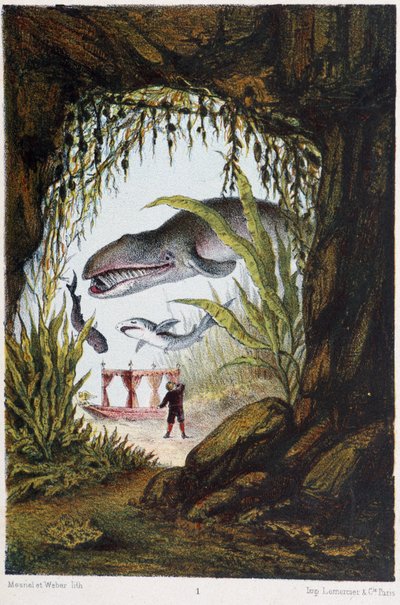 H. de la Blanchère
