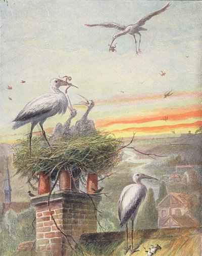 Bir leylek yuvası (renkli lito) by French School