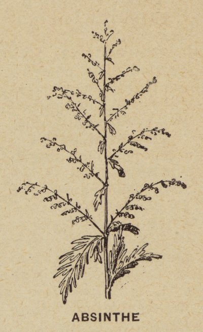 Absinthe (gravür) by French School