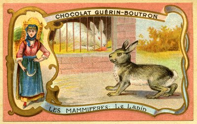Çikolataların reklam kromolitografisi Guerin Boutron, Memeliler, Tavşan kafesi ve vahşi, warren by French School