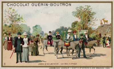 Afrika eşekleri, Jardin d'Acclimation, Paris (chromolitho) by French School
