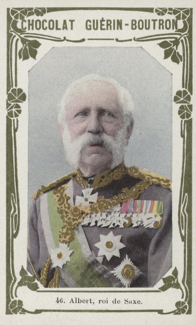Albert, roi de Saxe (renkli fotoğraf) by French School