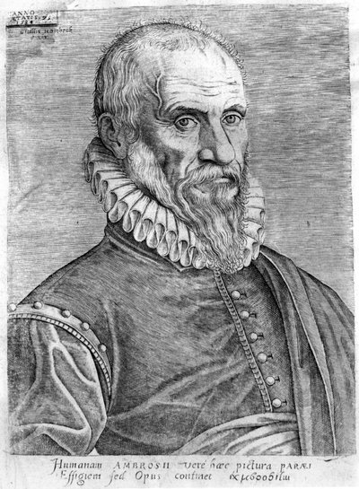 Ambroise Paré (1509-1590). by French School