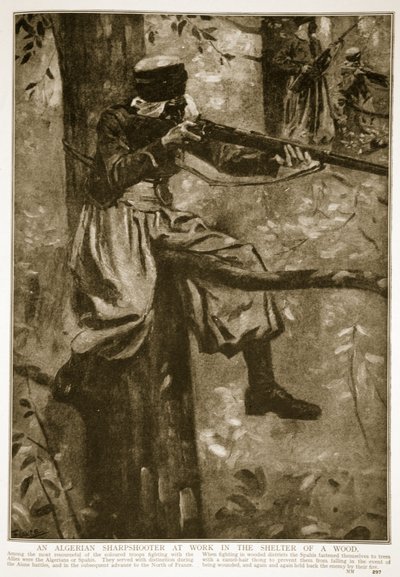 Cezayirli bir Keskin Nişancı, bir ormanın sığınağında iş başında, 1914-19 by French School