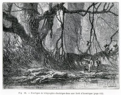 Bir Amerikan ormanındaki elektrikli telgraf hattı, 1870 dolayları (gravür) by French School