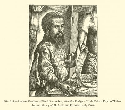 Andrew Vesalius (gravür) by French School