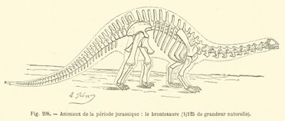 Jura döneminin hayvanları, Brontosaurus (gravür) by French School