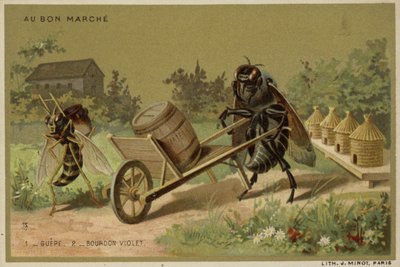 Antropomorfik böcekleri içeren Au Bon Marche kartları by French School