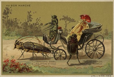 Antropomorfik böcekleri içeren Au Bon Marche kartları by French School