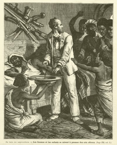 Gergedan Ülkesinde (gravür) by French School