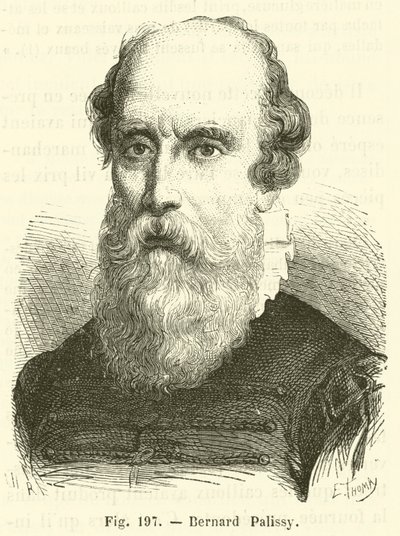 Bernard Palissy (gravür) by French School