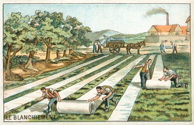 Ağartma (kromolito) by French School