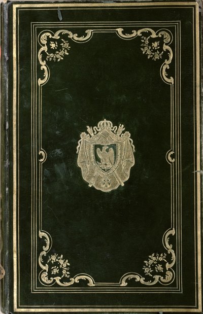 Napolyon Bonapart