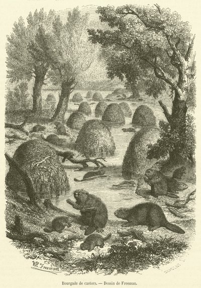 Bourgade tekerlekler (gravür) by French School