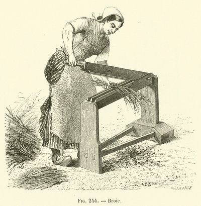 Broie (gravür) by French School