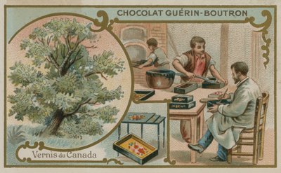 Kanada verniği by French School