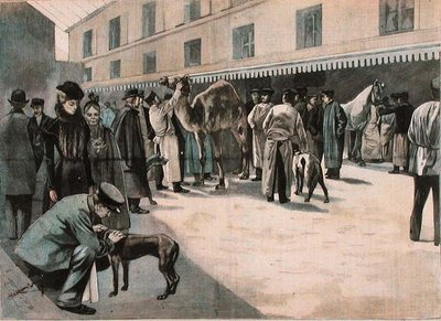 Ecole Nationale Veterinaire d