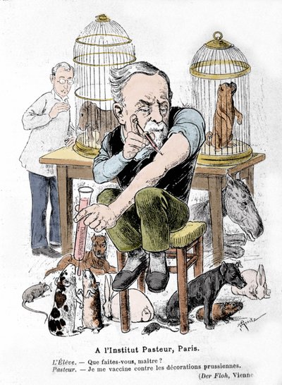 Kuduza karşı aşının mucidi bilim adamı Louis Pasteur