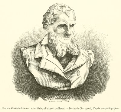 Charles-Alexandre Lesueur, doğa bilimci, Le Havre