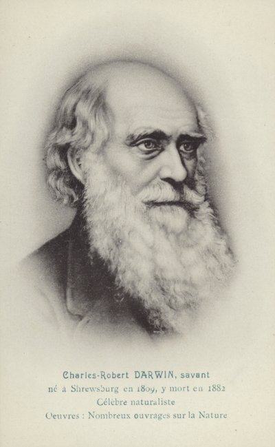 Charles Darwin (1809-1882), İngiliz doğa bilimci (lito) by French School