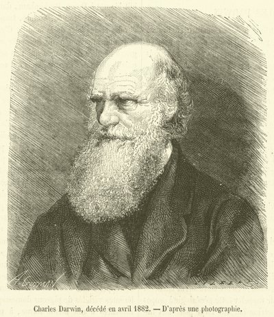 Charles Darwin, decede en nisan 1882 (gravür) by French School