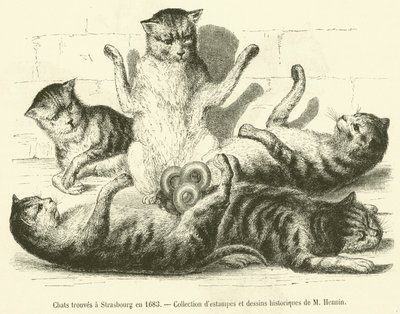 1683