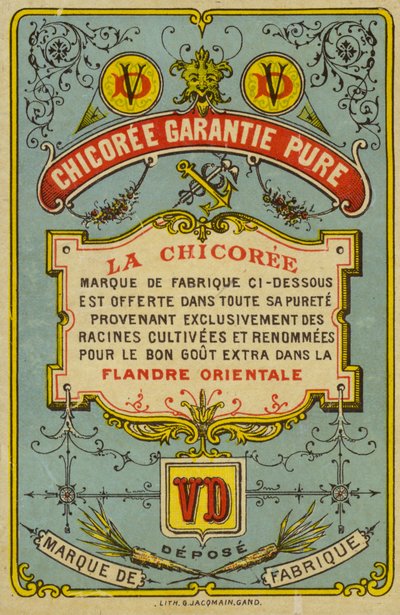 Saf garantili chicoree by French School