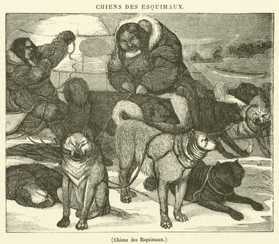 Eskimoların Köpekleri (gravür) by French School