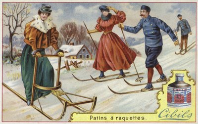 Kayak ve kızak özellikli Cibils kartı by French School