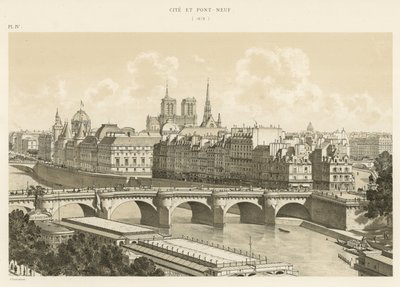 Cite ve Pont-Neuf, 1878 by French School