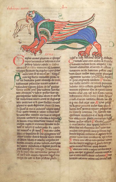 Morina. Guelf. 1 Güd. en. 39v, Bir Adamı Yiyen Bir Griffin, Liber Floridus