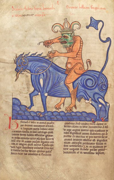 Morina. Guelf. 1 Güd. en. 41V, Bir Behemoth