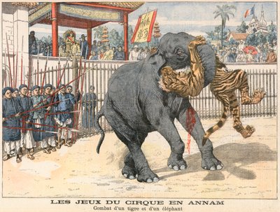 Bir kaplan ve bir fil arasındaki savaş by French School