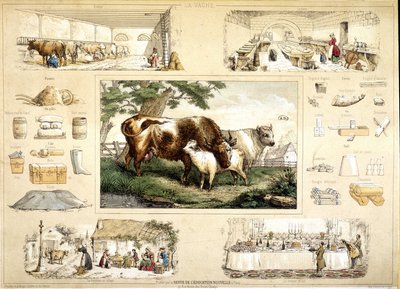 İnek ve ürünleri (sağım, süt ürünleri) by French School