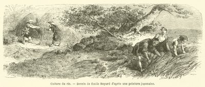 Pirinç ekimi (gravür) by French School