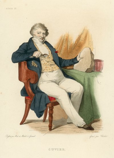 Cuvier (renkli gravür) by French School