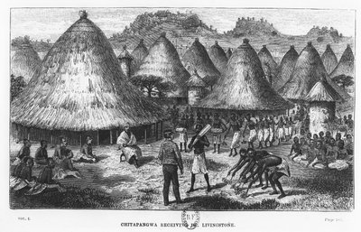 David Livingstone, Orta Afrika