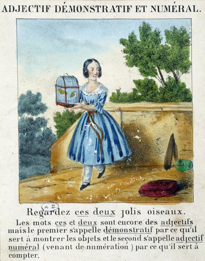 Gösterici ve sayısal sıfat (2 kuşlu bir kafes taşıyan bir kız) - “” La grammaire en images”” by French School